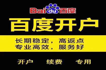 百度SEM推广案例：揭秘行业领军企业的成功之路