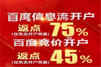 百度SEO推广公司案例：如何快速提升网站排名