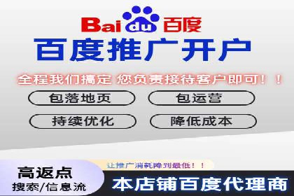 行业领先企业的SEM广告投放策略案例
